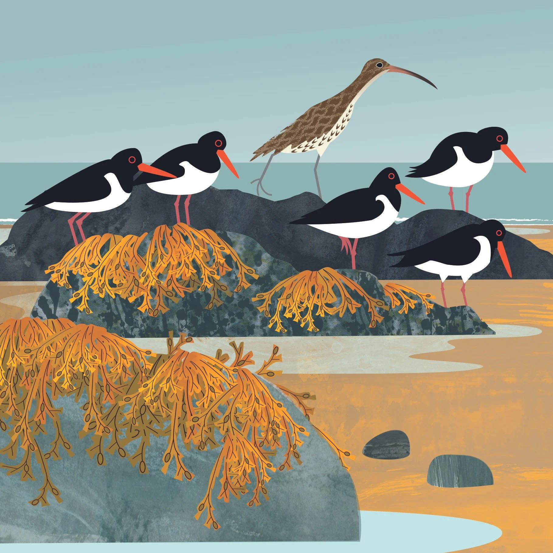 Nature &amp; Wildlife Greetings Cards