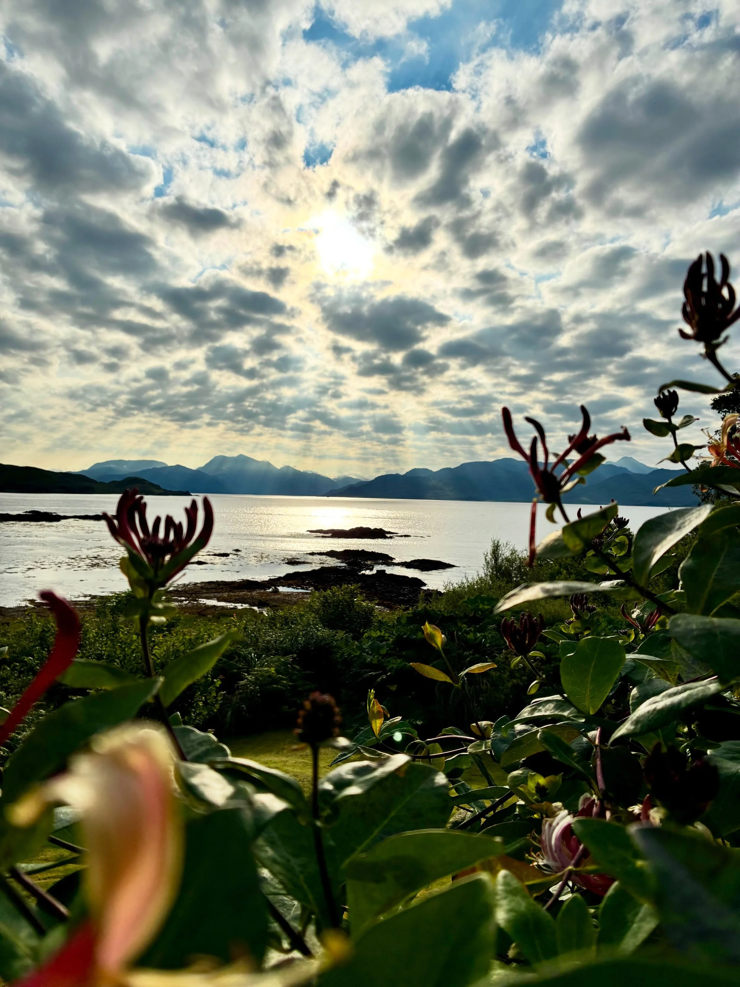 This is home for the next week. On the Isle of Skye, in the south, overlooking the Sound of Sleat. Last night, as the tide ebbed, the silhouette of an otter appeared over the rocks. At 4.30 this morning, I met the sunrise&hellip; So while I head into