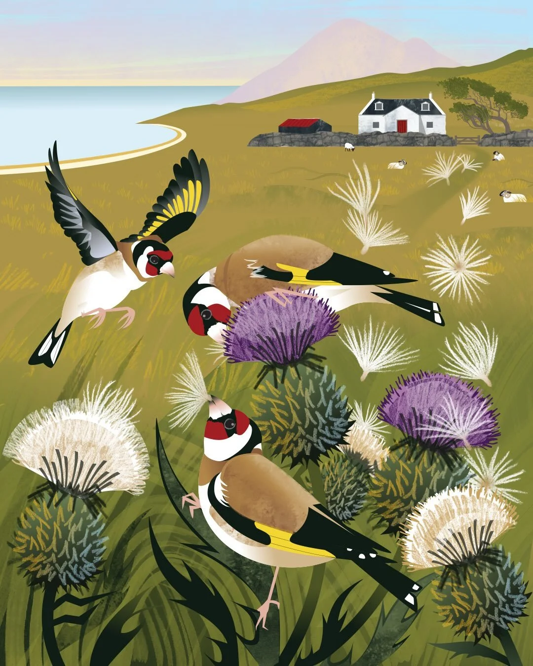 Goldfinch and spear thistles. I watched these finches feast on the seeds which once airborne, drifted up and away on the breeze, using their parachutes of long, white hair. I still try to catch the odd seed in my orbit - to make a wish before it land