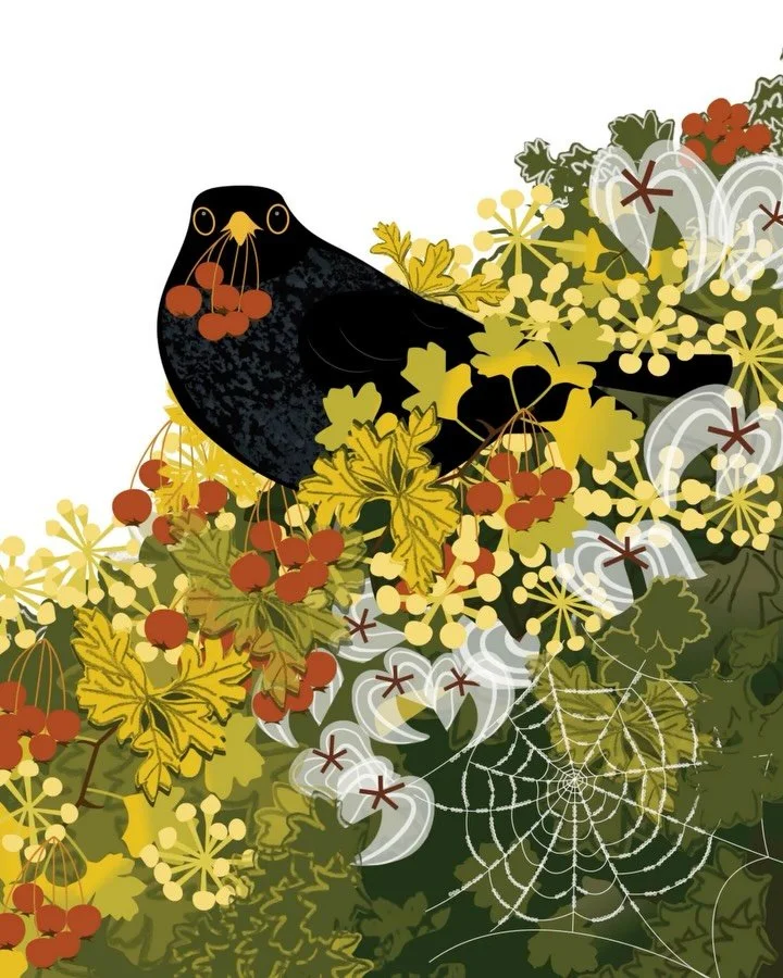 There are so many reasons to LOVE autumn. I&rsquo;m sharing a few things to cheer up those who might be feeling a little melancholy. From wildlife wanderings translated into joyful illustrations in my Hampshire studio. Colours galore! Surprise encoun