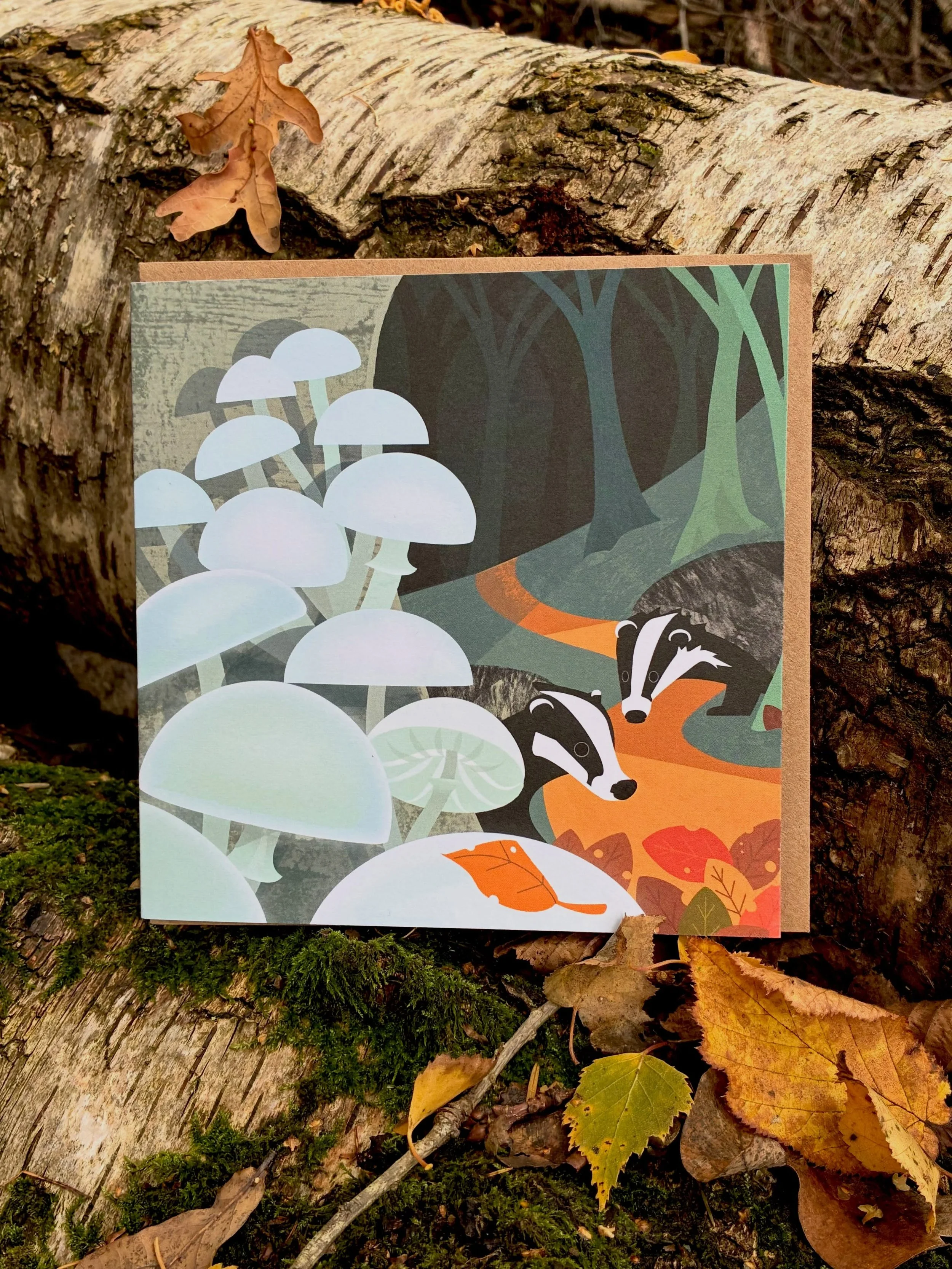 Every illustration starts with a walk, a sketch, and a moment of connection with nature. Here is a little glimpse of my autumn collection, photographed exactly where they belong. Grab a mug of something warming and swipe through the views. ☕️🍁All de
