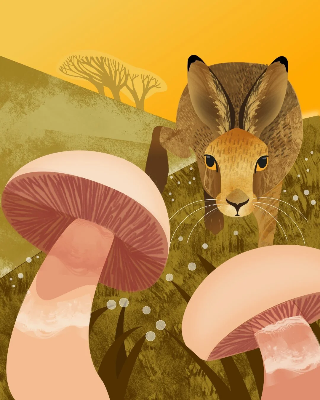 Happy UK fungus day! What incredible diversity there is, from the transient hare&rsquo;s foot inkcap to the majestic giant polypore. Time for a wander&hellip;