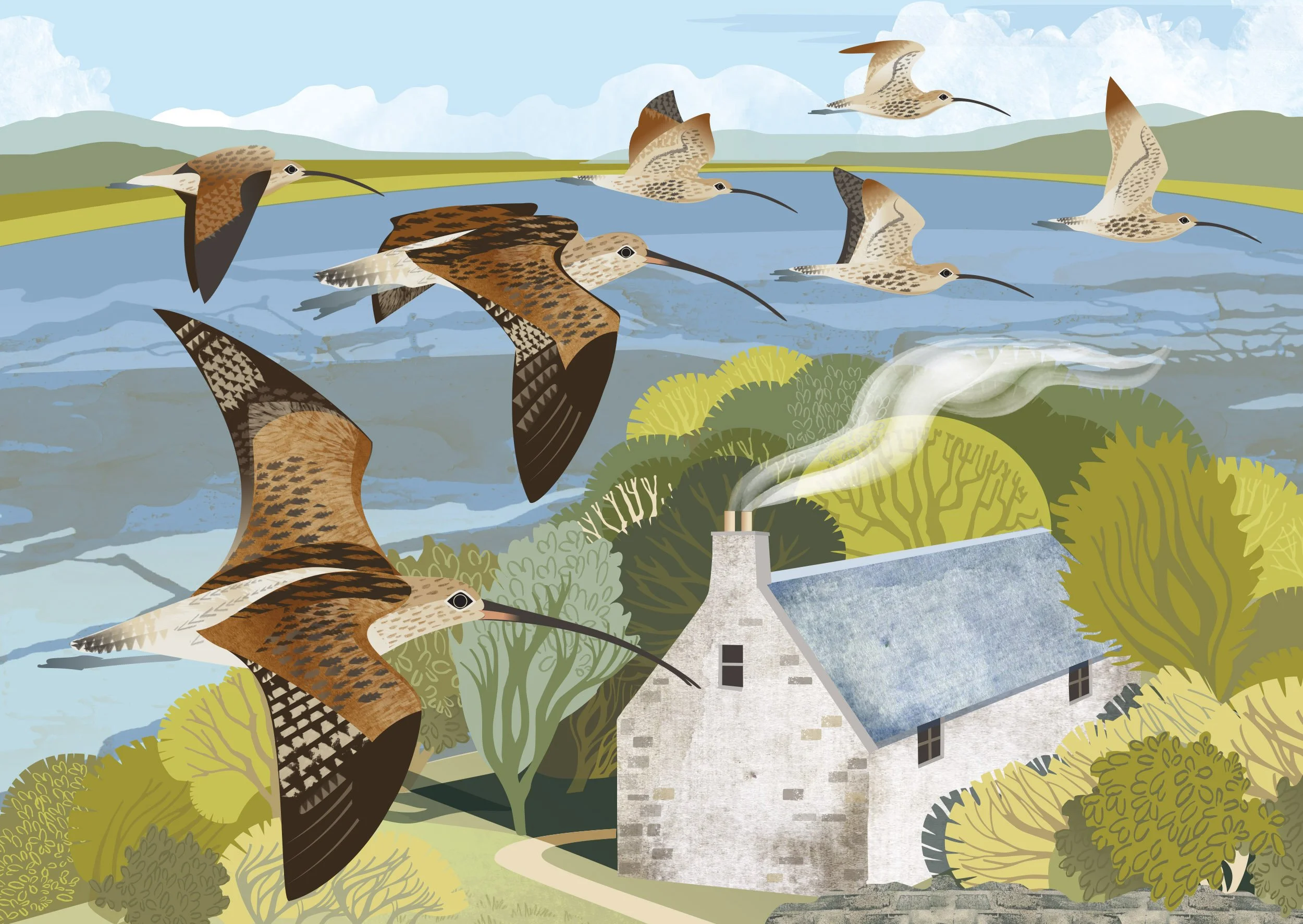 rachel-hudson-illustration-curlew-cover-art-RSPB-calendar-2027.jpg