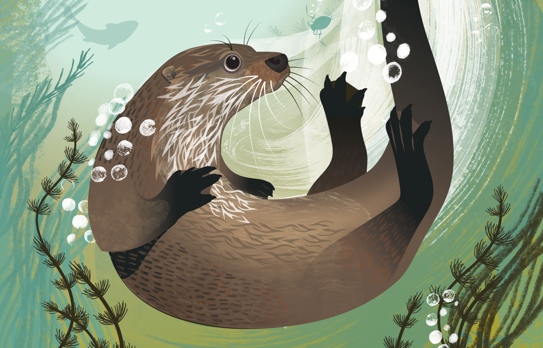 rachel-hudson-illustration-book-cover-Tarka-revisited-Pelagic-Publishing.png