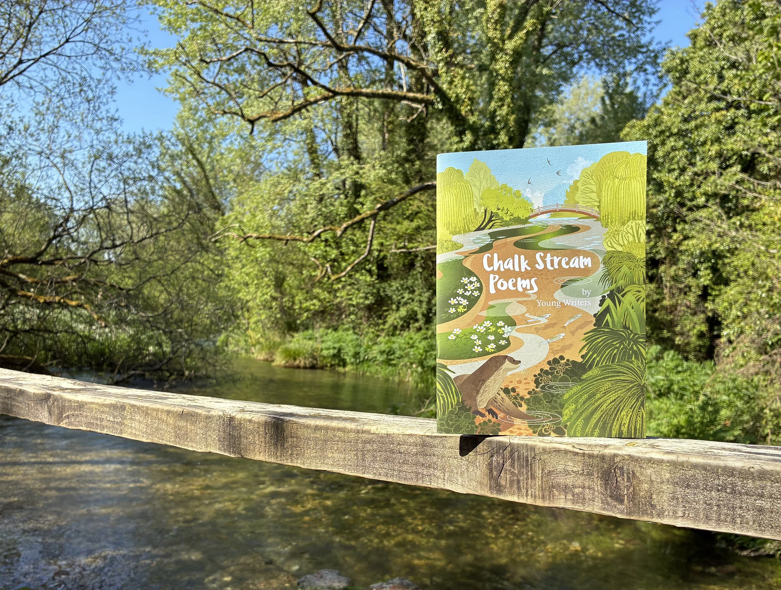 Rachel-Hudson-Illustration-Chalkstream-Poetry-Collection-Hampshire-Wildlife-Trust.jpg