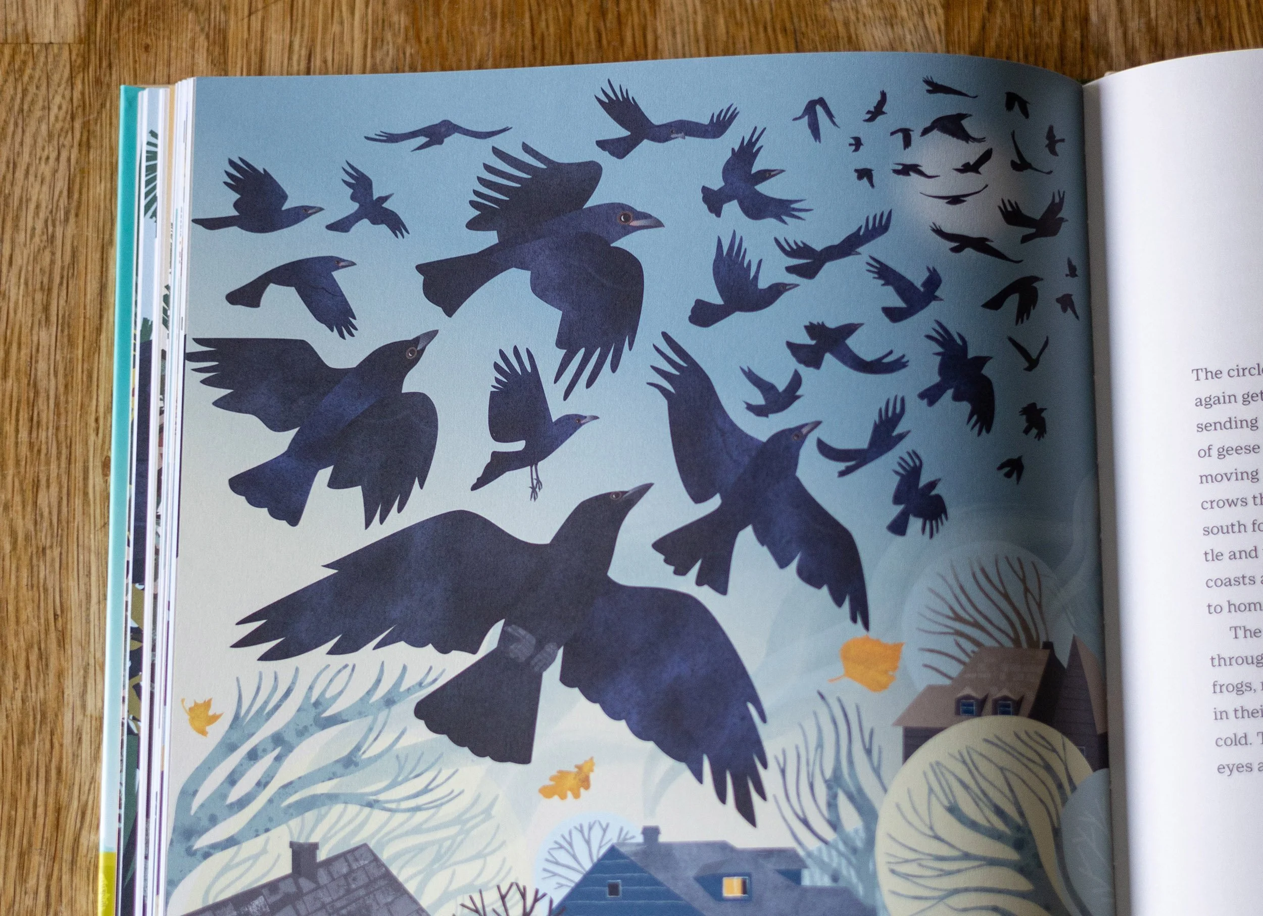 Rachel-Hudson-Illustration-Book-How-to-Know-a-Crow-Migrations.jpg