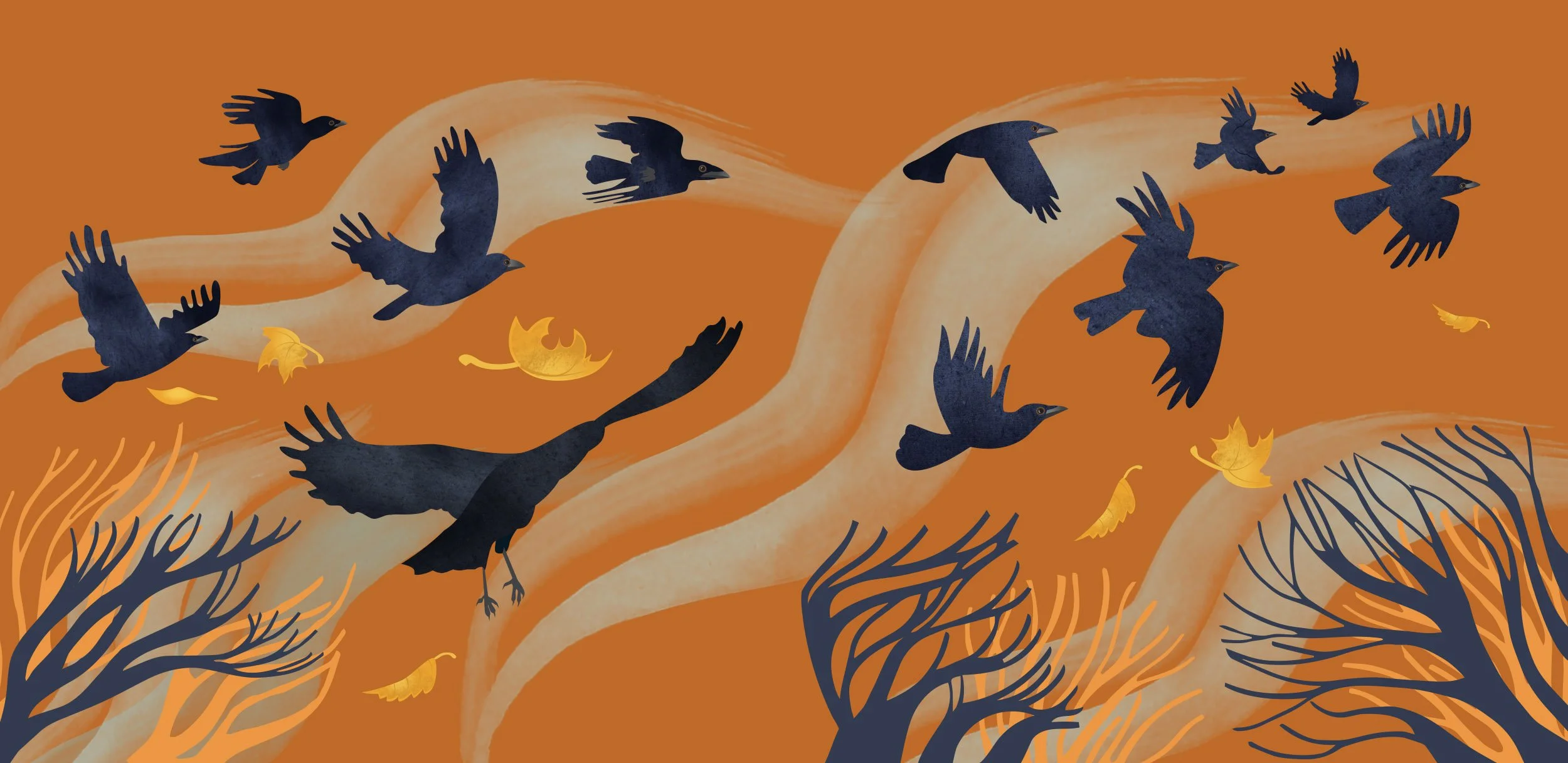 Rachel-Hudson-Illustration-Book-endpapers-How-to-Know-a-Crow.jpg