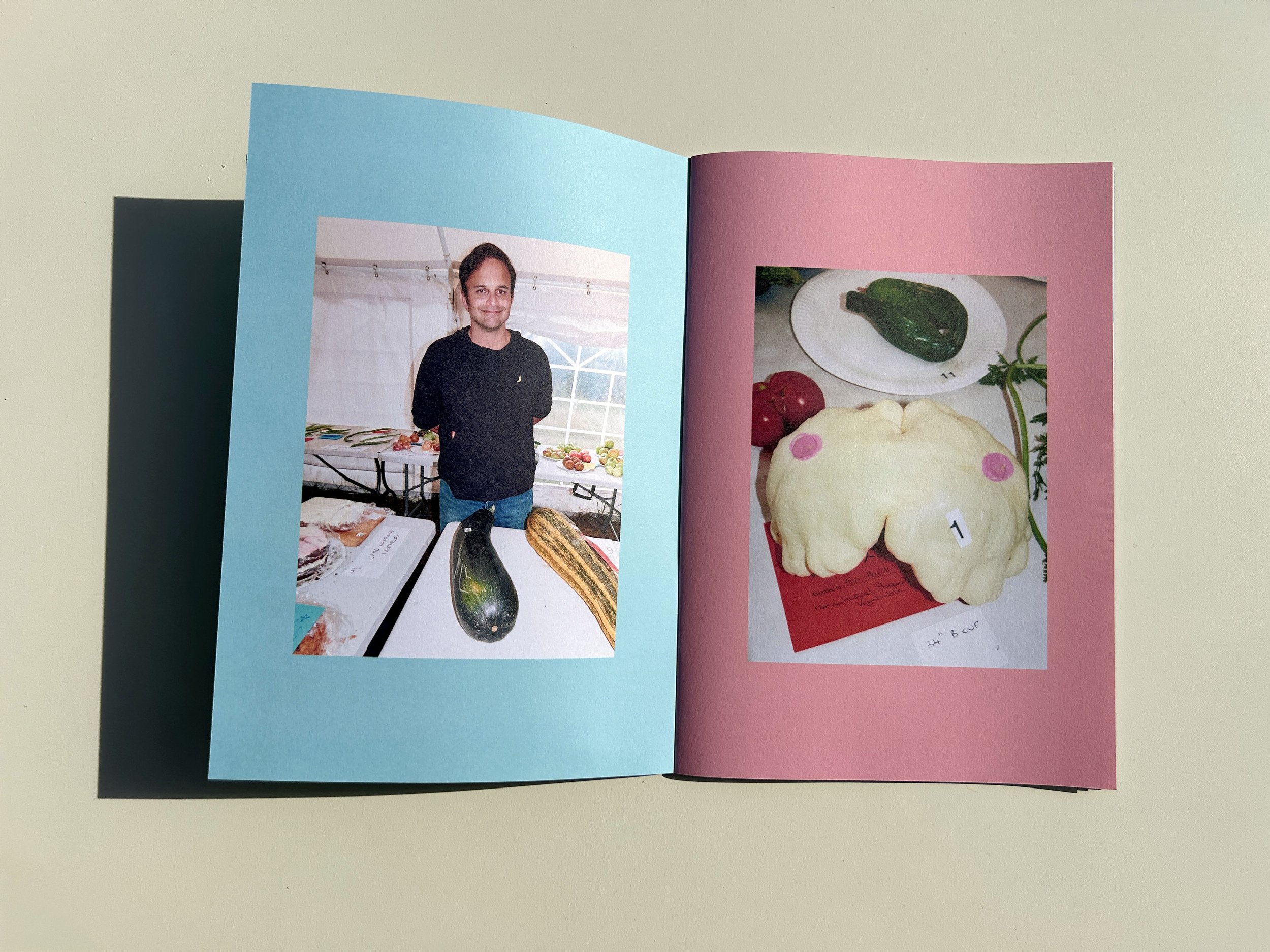 spread 6.jpg