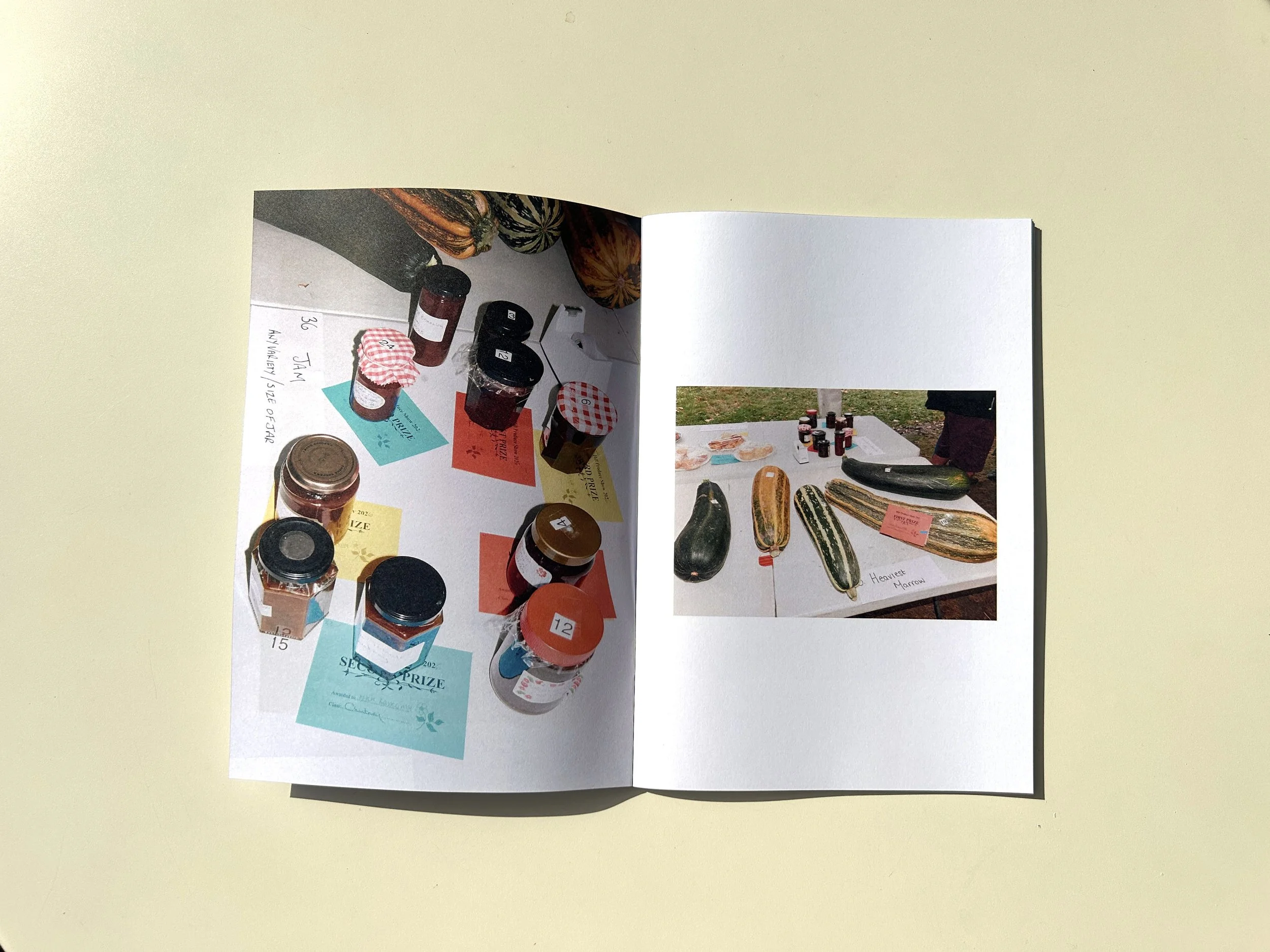 spread 8.jpg