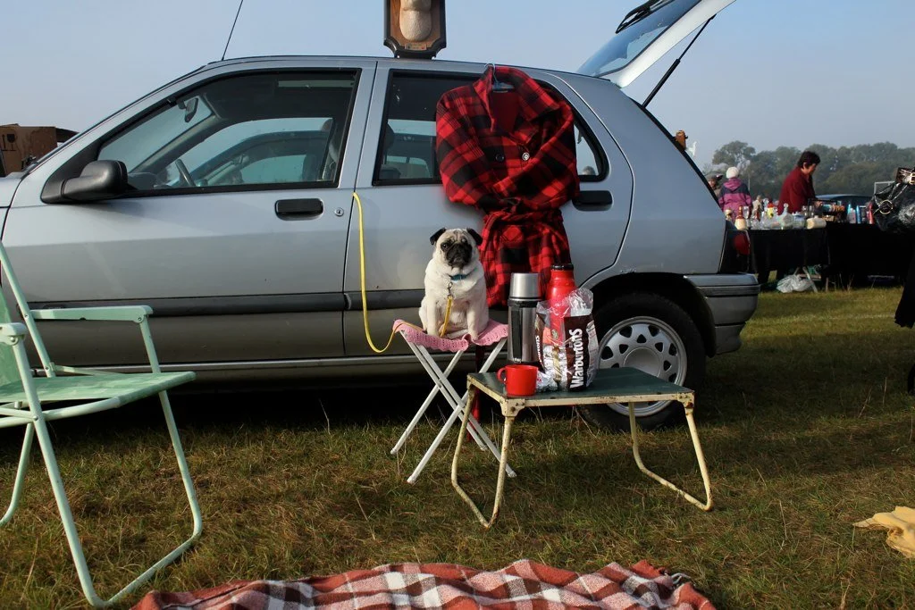 8142681503_ed245bbd5b_o (1).jpg