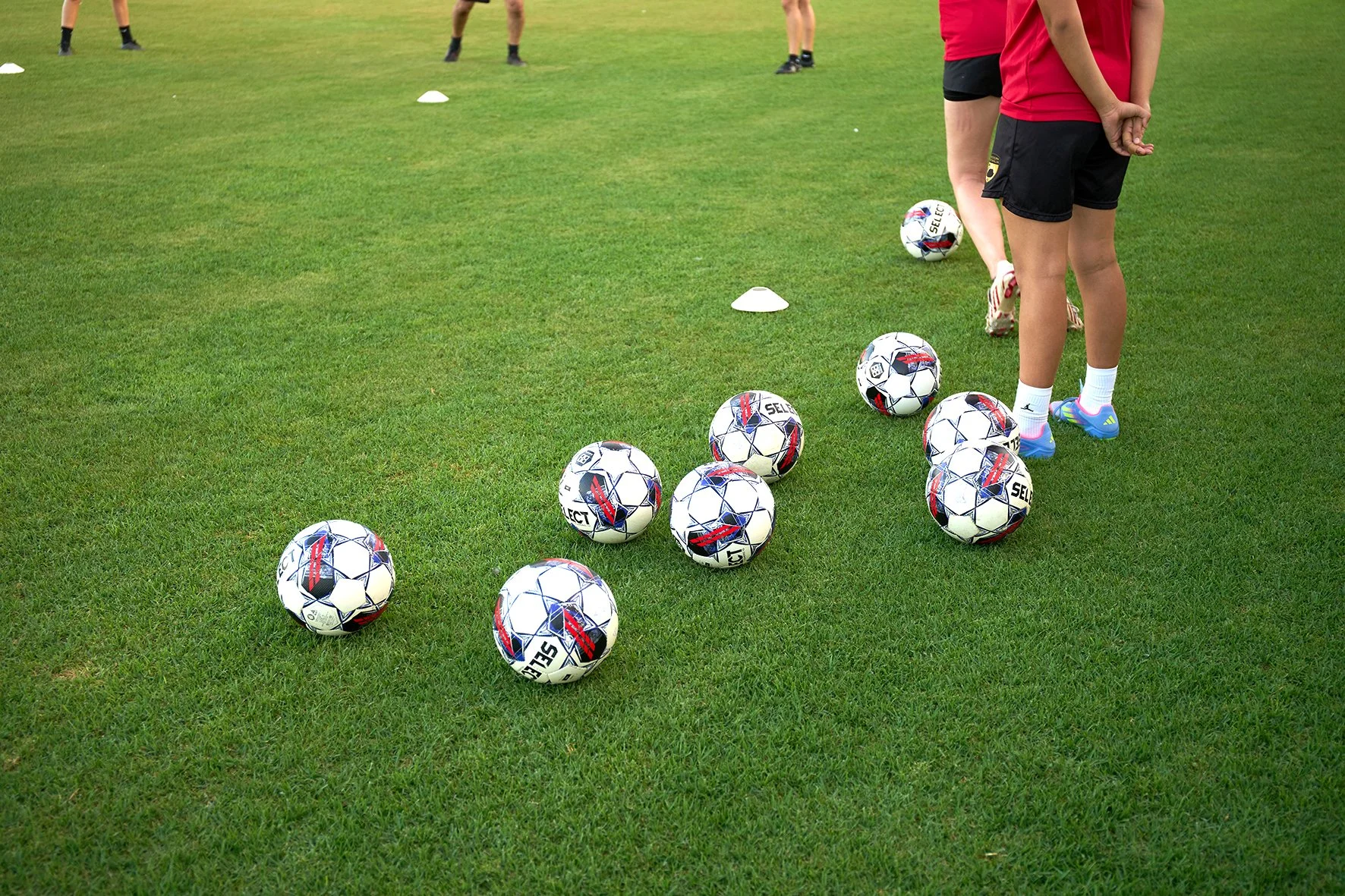 DSC02427 copy small.jpg