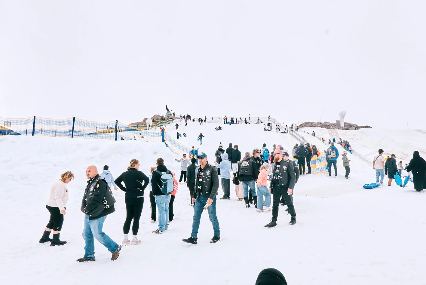 P1110796 small.jpg