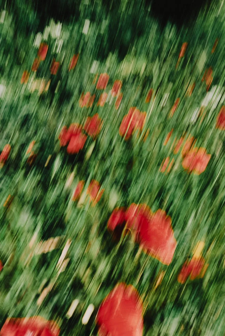 P1090427 small.jpg