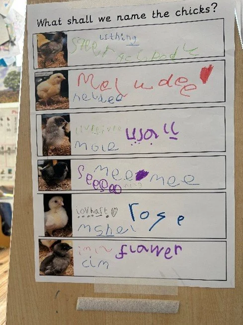 r1.jpg