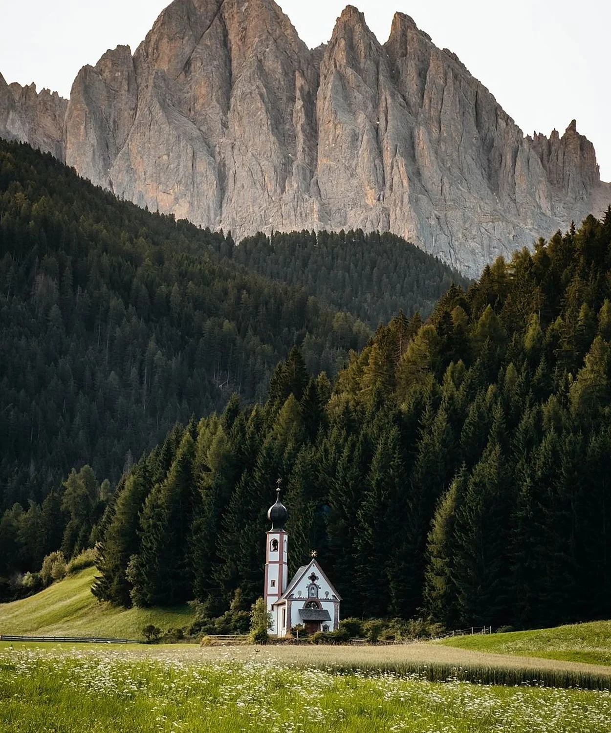 preview_8a9ca581_5c9d5002.jpg
