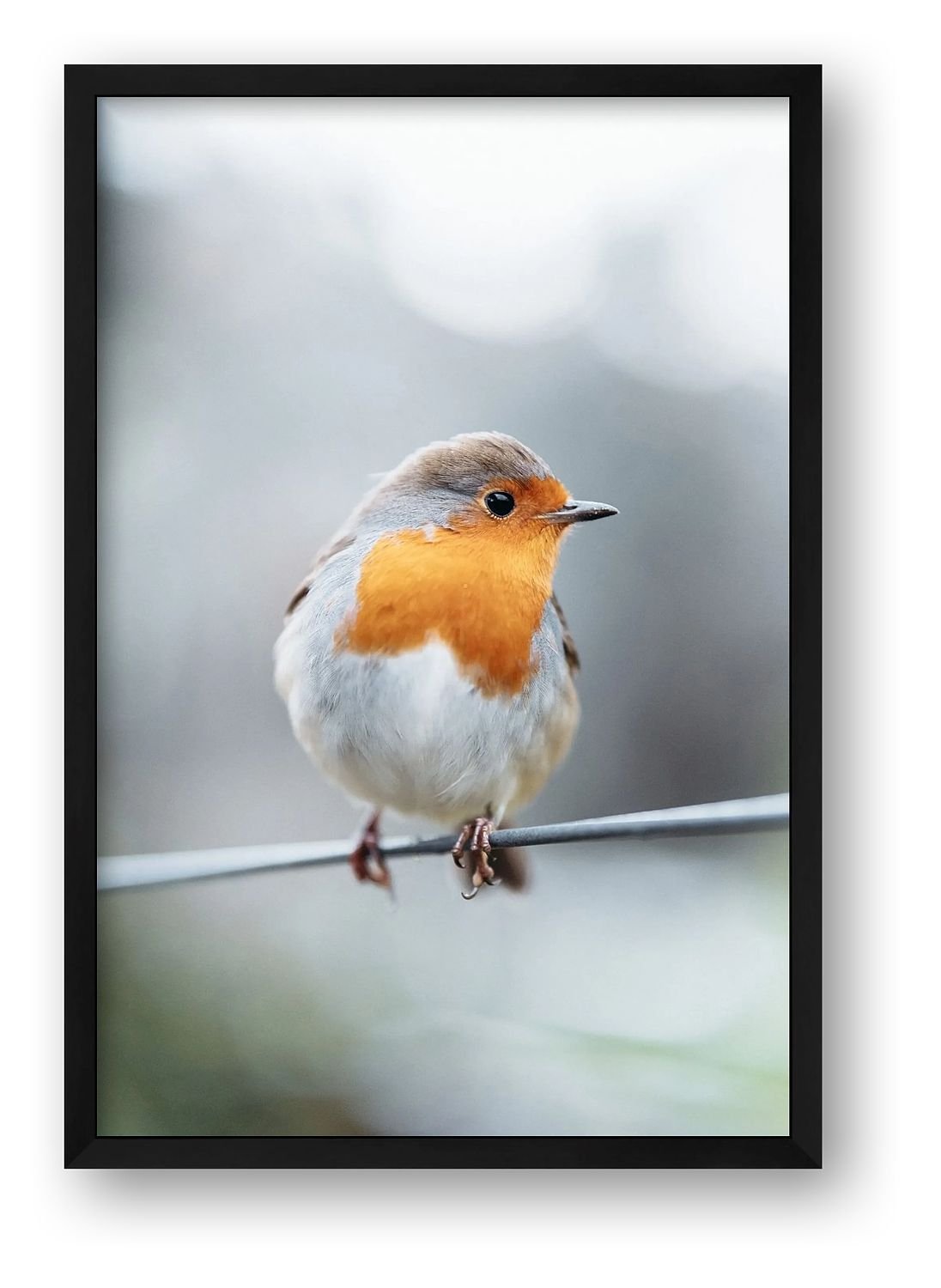 preview_2c946f3b_f3d64065.jpg