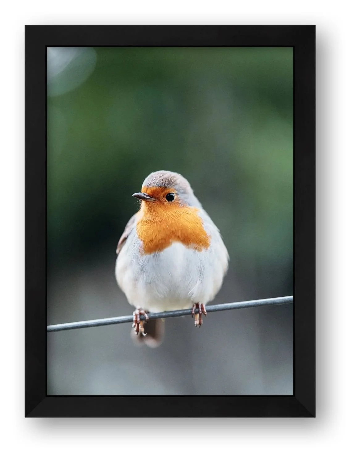 preview_6e3067c9_10e51d54.jpg