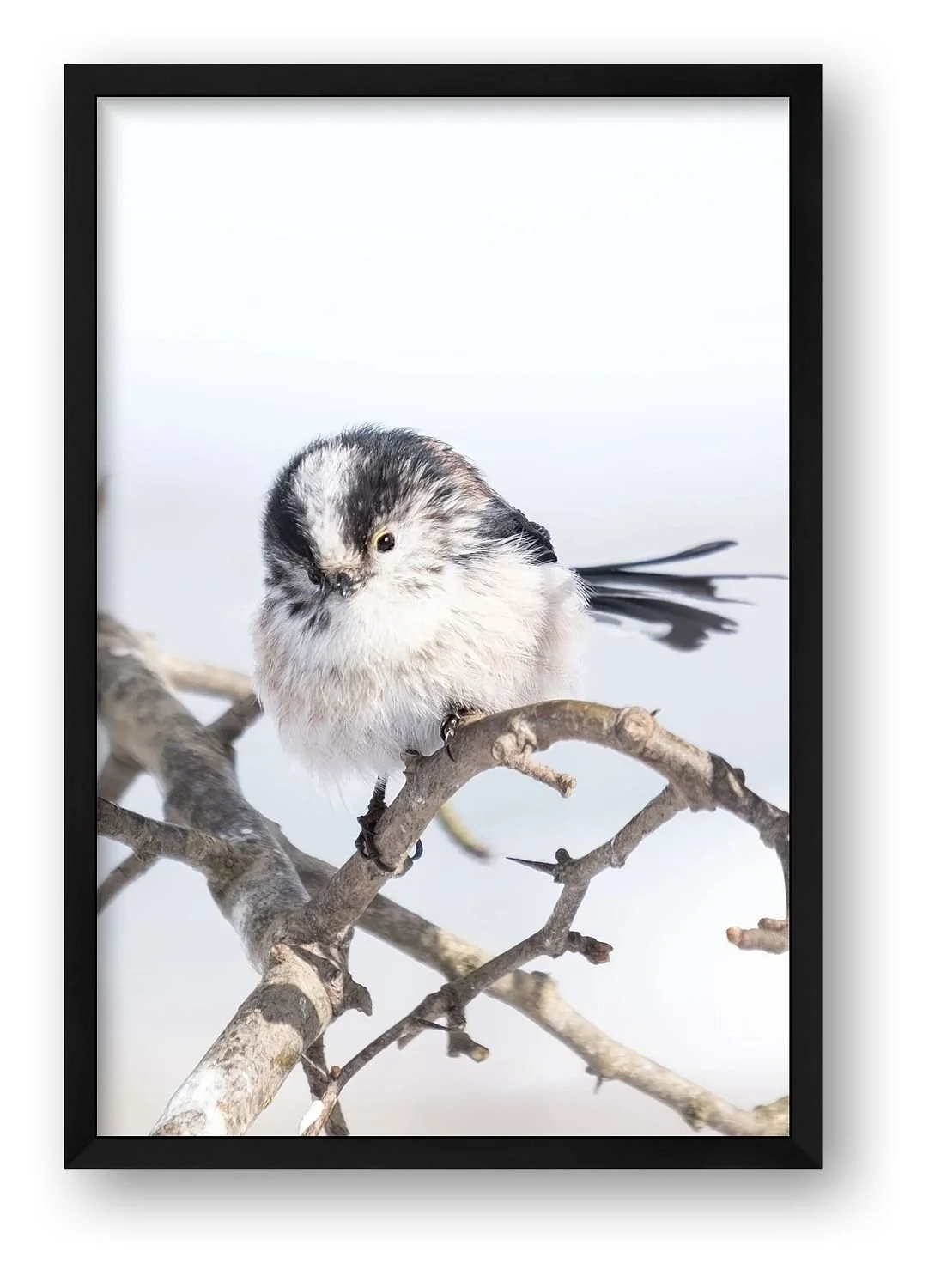 preview_fe7517c9_e010443d.jpg