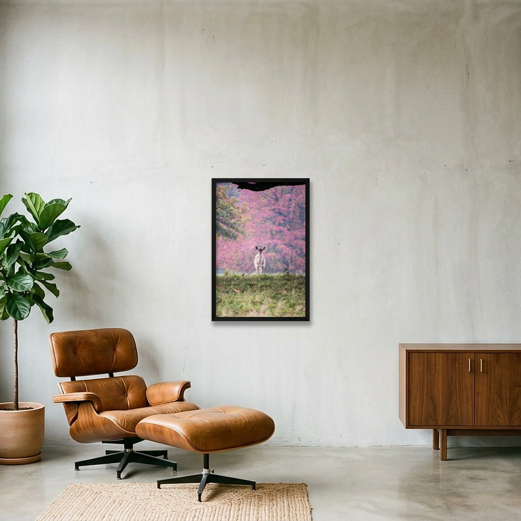 shot_wall_1cfa6c01_62982e3f.jpg