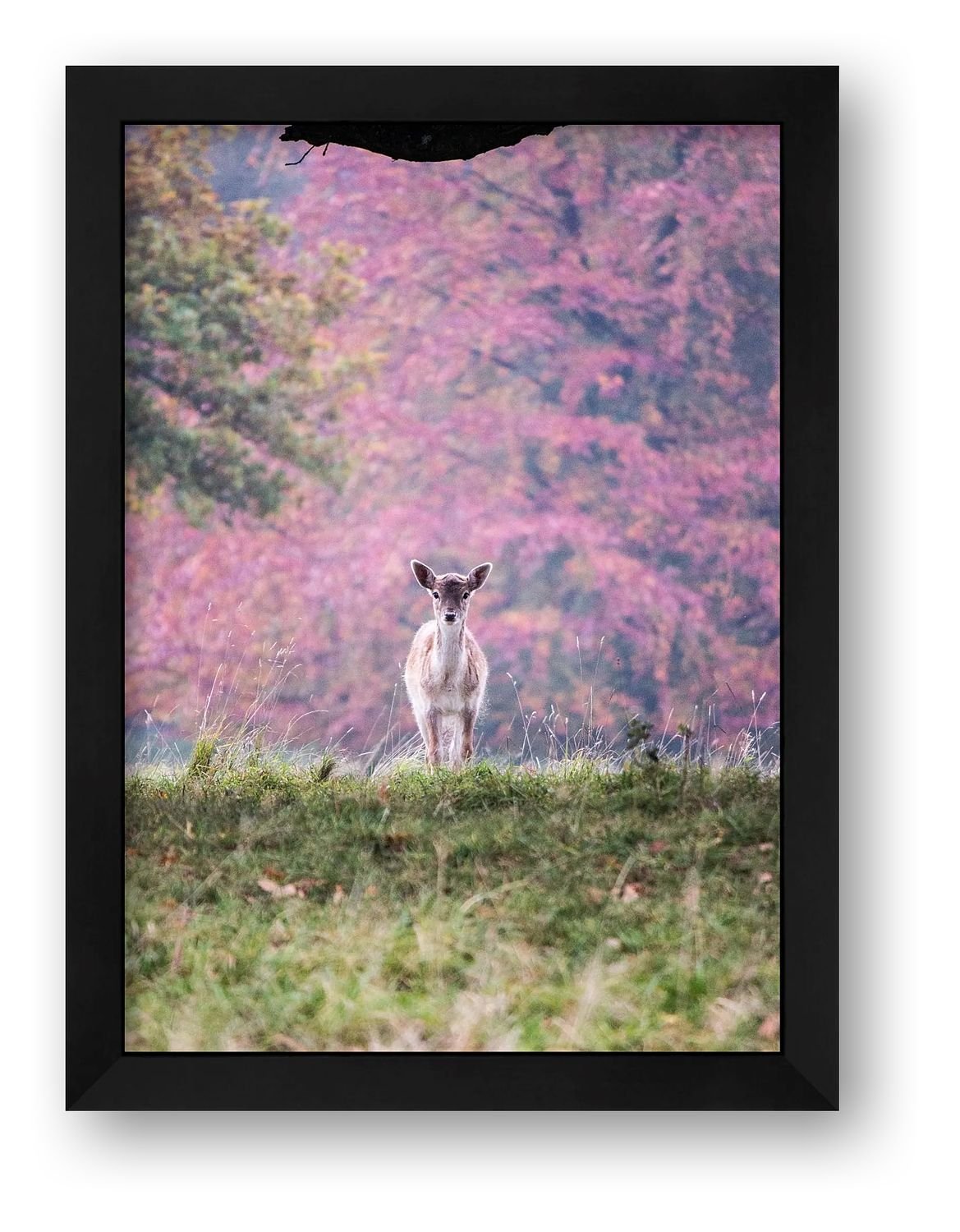 preview_b319333f_51906cf9.jpg