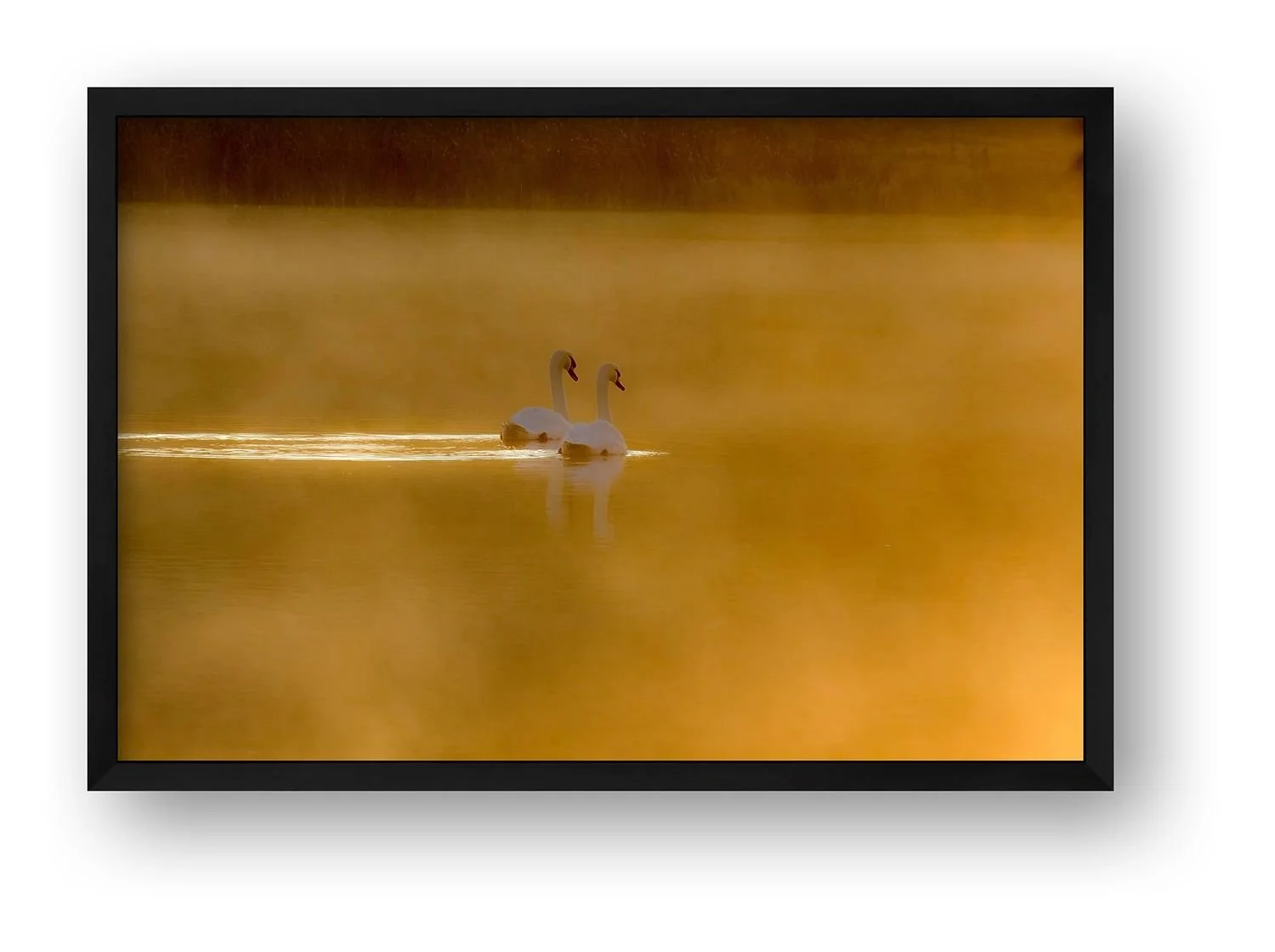 preview_5548a0a0_a6b4db88.jpg