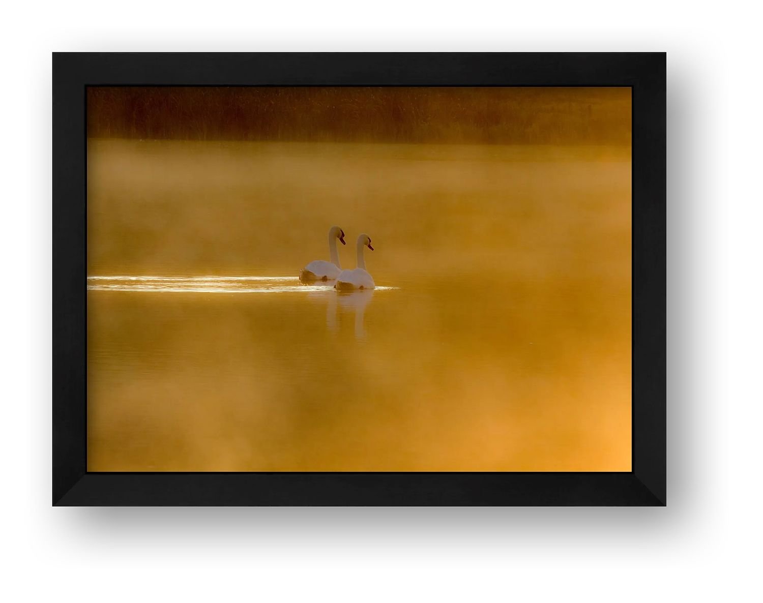 preview_7ded98e6_1f385159.jpg