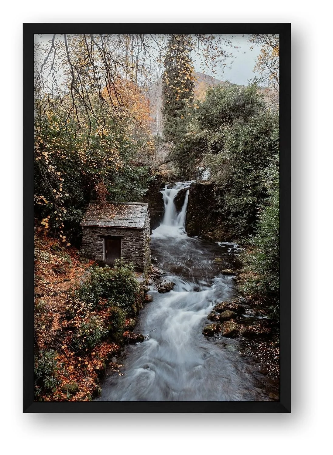 preview_d84150f7_1aea8472.jpg