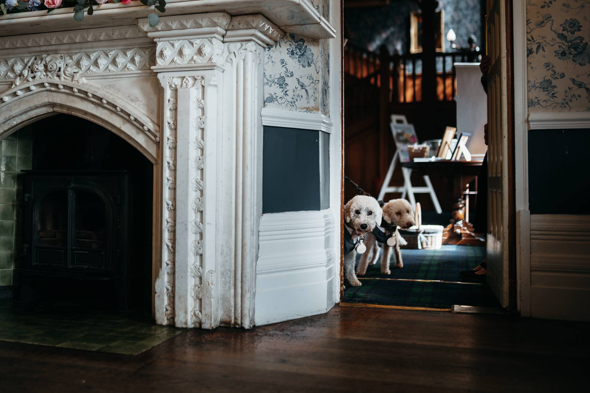 Two dogs, one black and one light-colored, are peeking around an ornate white fireplace on a darkened indoor hallway. The hallway has floral wallpaper and wooden flooring, with a staircase visible in the background.