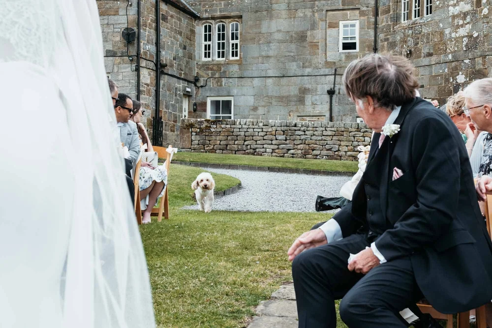 Dog running down the aisle during a wedding ceremony at Danby Castle