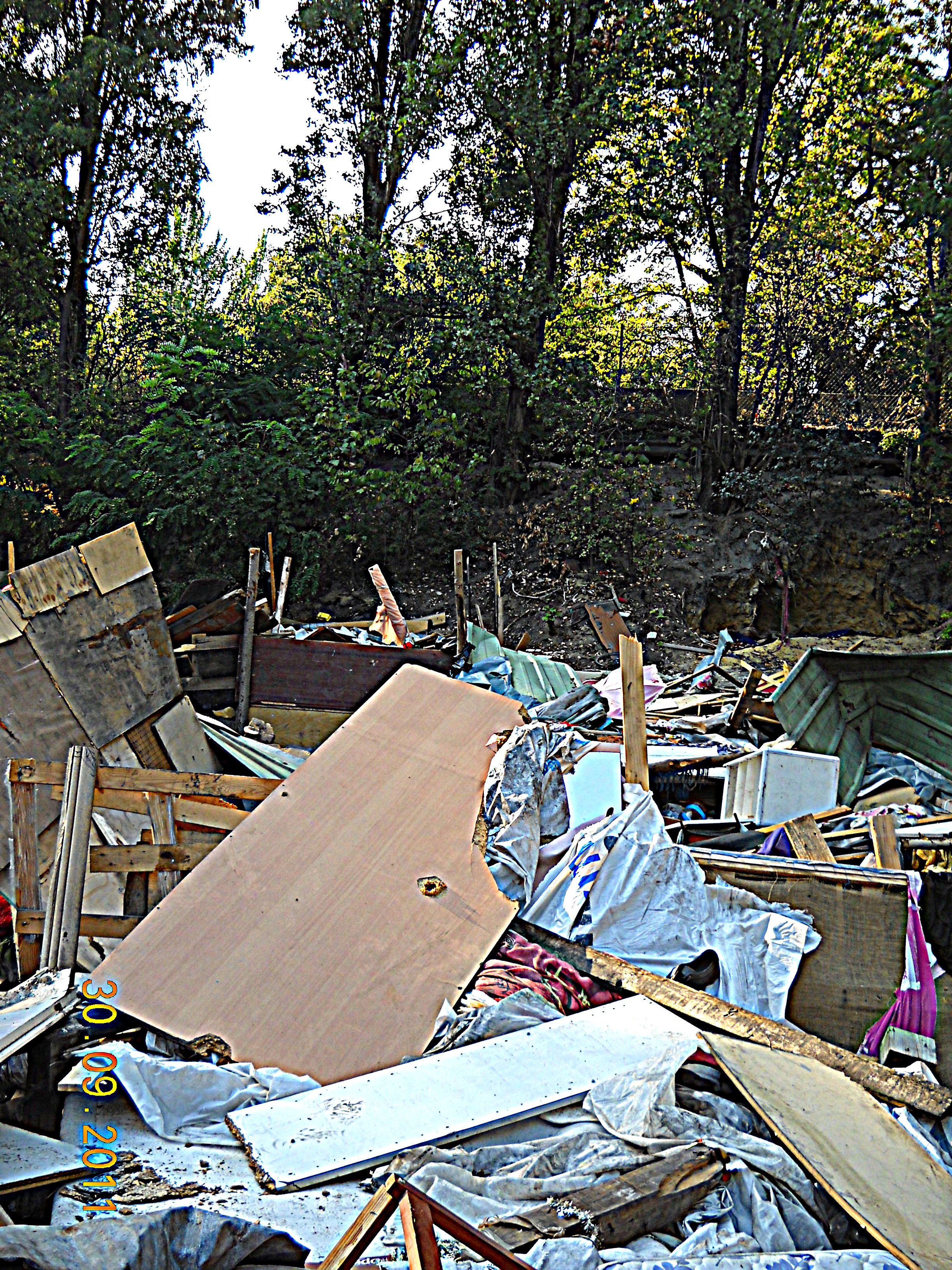 DSCN4389.JPG