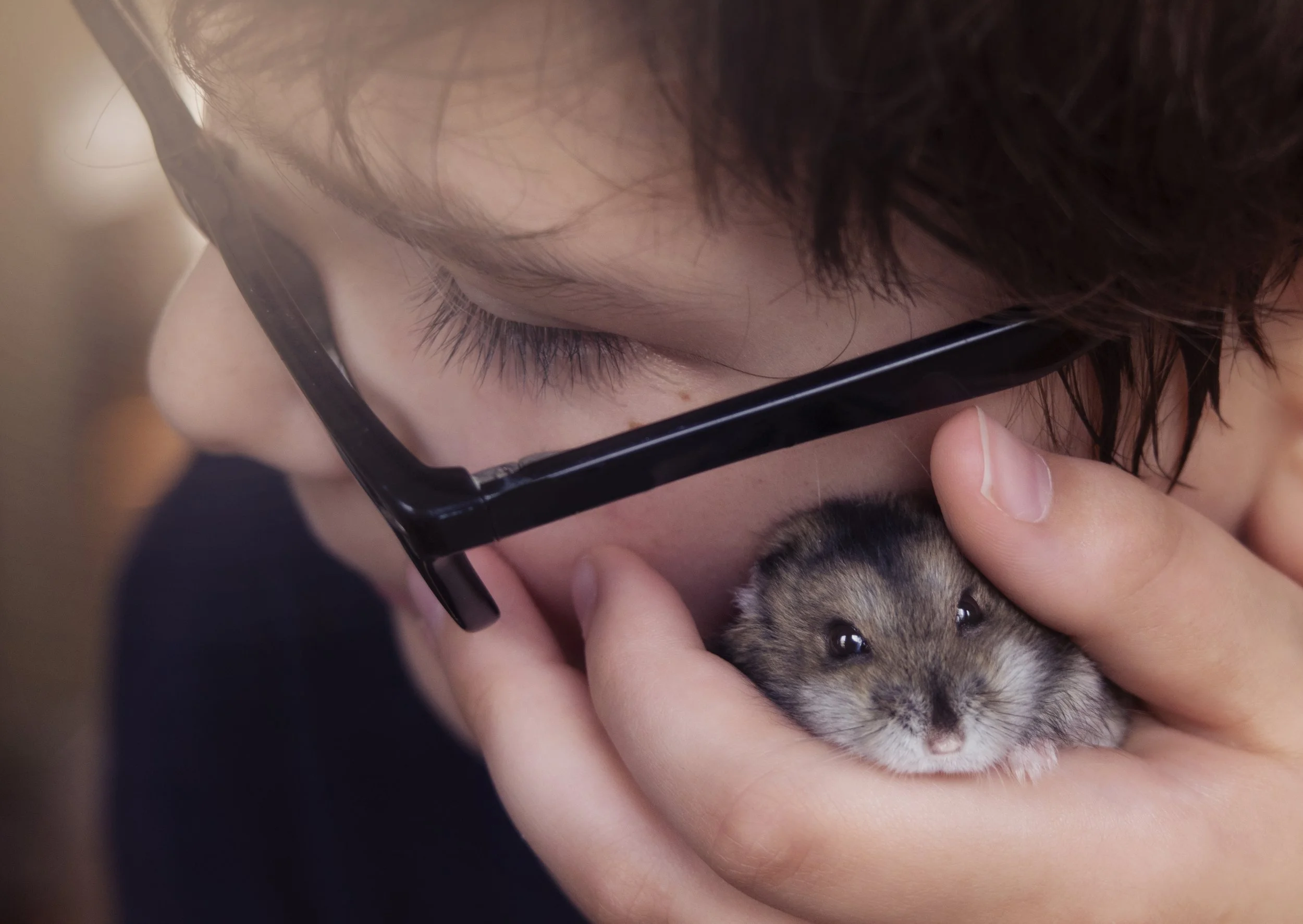 A person wearing glasses holding a small hamster close to their face, with the hamster looking directly at the camera.
