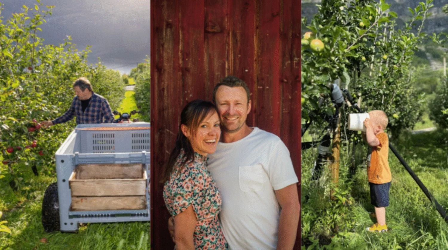 Kurs i sidersmaking
