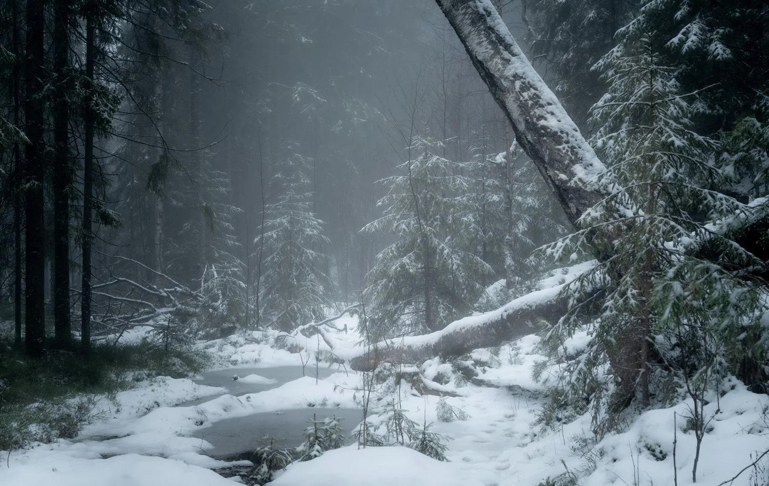 Natur