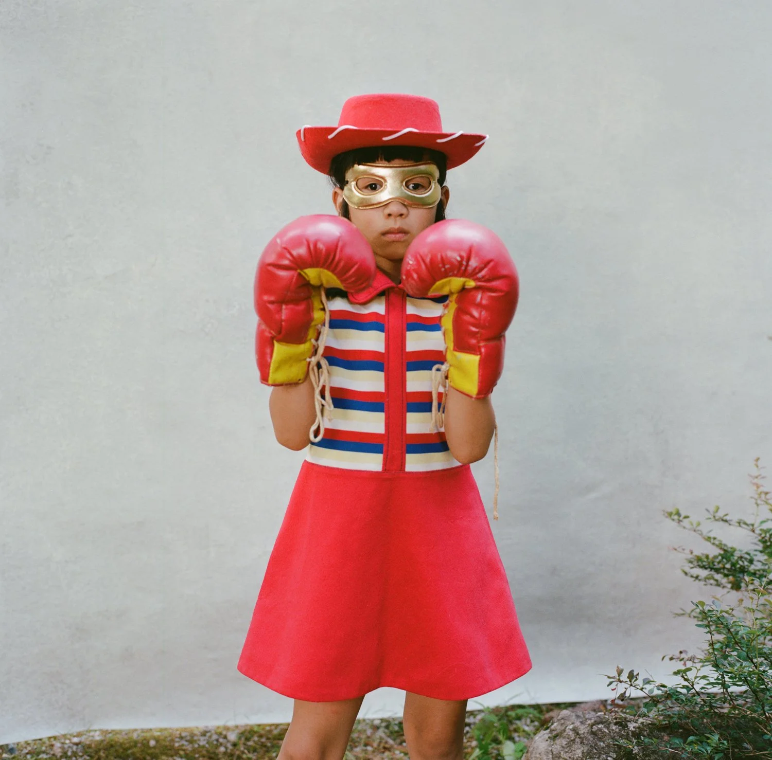 wild pack of family dogs untamed analog photography