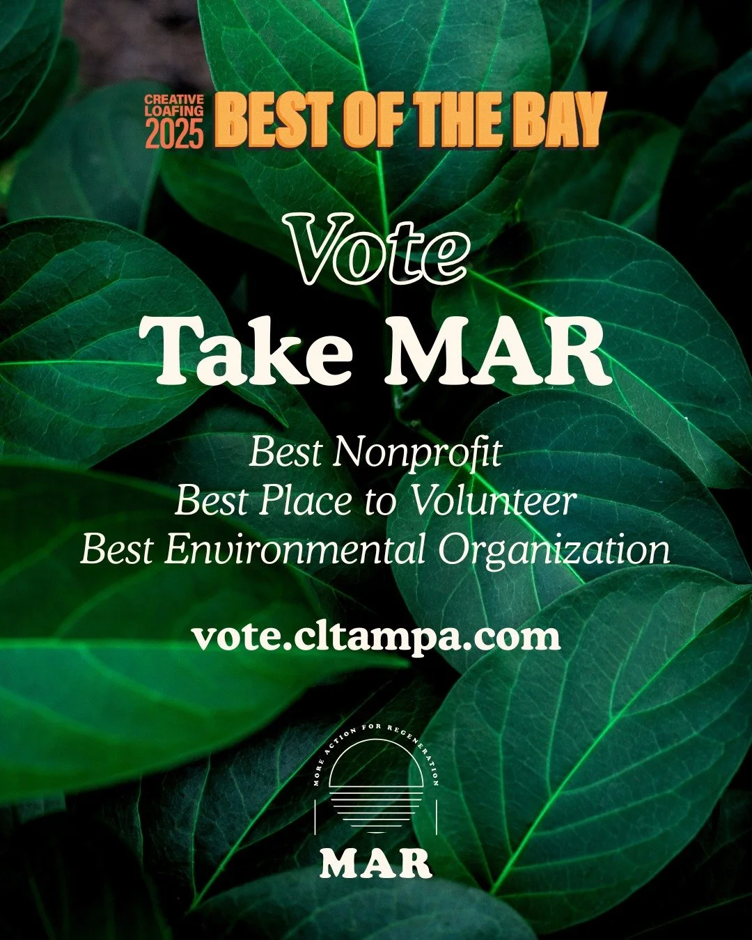 We’re down to the final week of voting for Creative Loafing’s 2025 Best of the Bay Awards, where Take MAR has been nominated for Best Environmental Organization, Best Nonprofit, and Best Place to Volunteer!
Voting links for each category