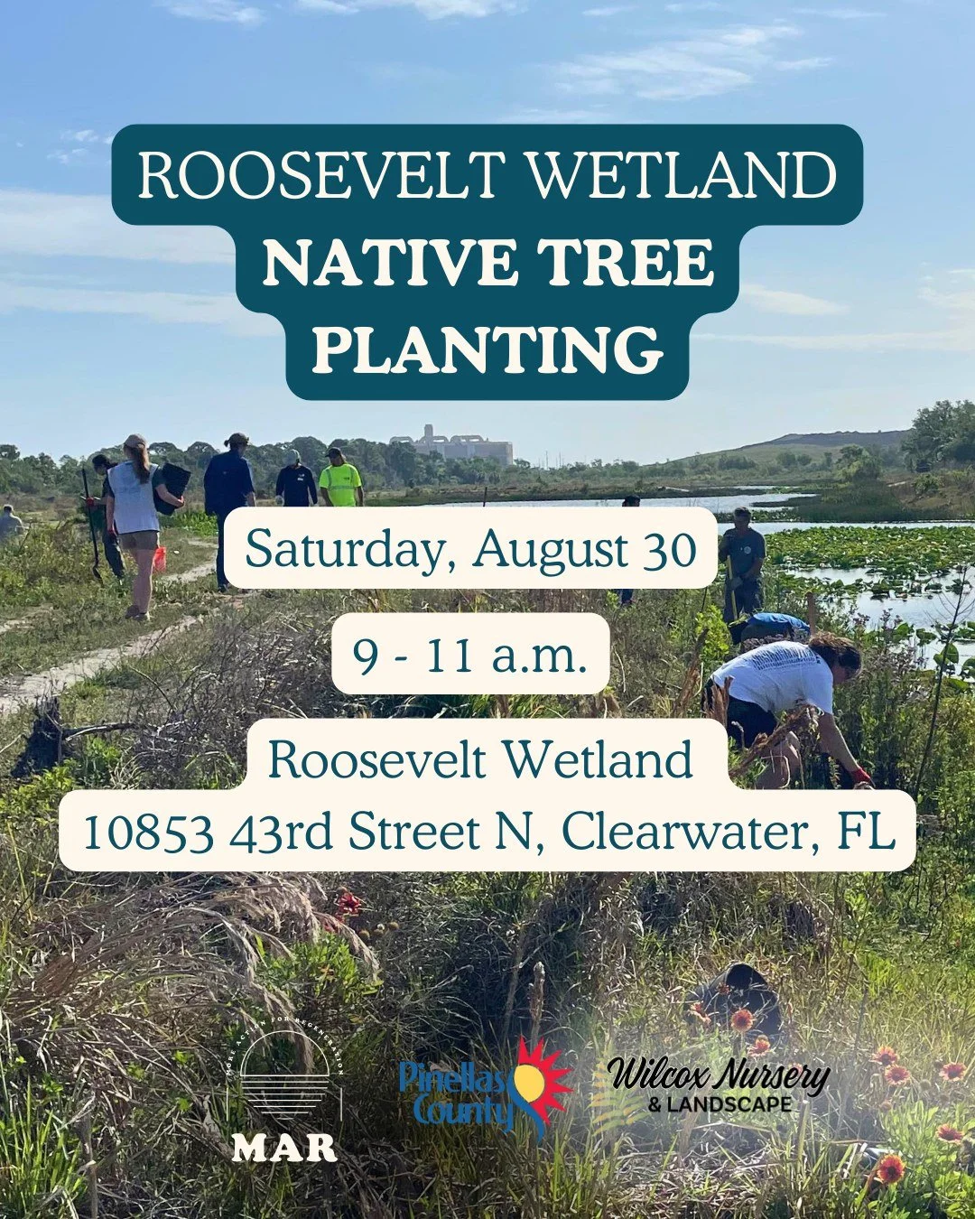Join us on Saturday, August 30 as we return to Roosevelt Wetland in Clearwater to plant 30 native trees! This hands-on effort will help to improve habitat and support the long-term health of this important wetland ecosystem. 
A big thank you to @wil