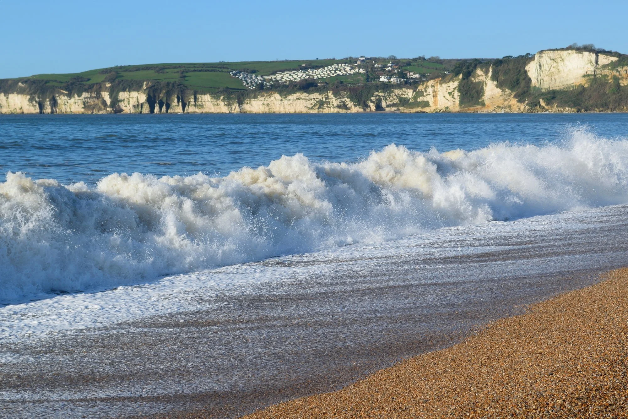 Take Your Pup For A Walk: Pet-Friendly Paths in Devon — The Cliffden Hotel