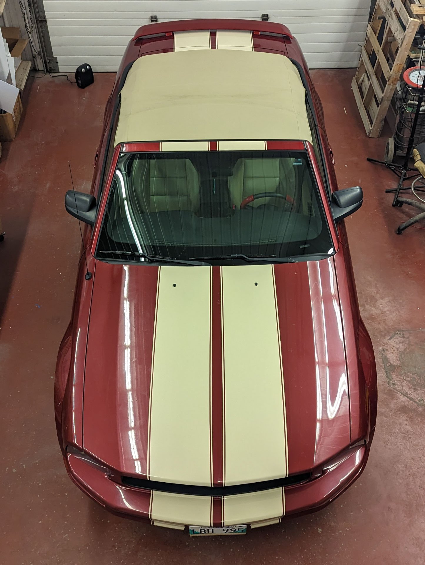Mustang-Racing-Stripes-Custom-Vehicle-Wrap-by-Alt-Marketing-in-Altona-Manitoba.jpg