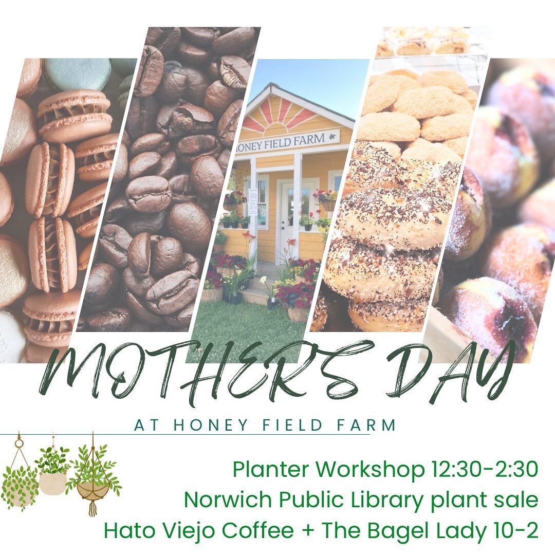 @honeyfieldfarm on Sunday from 10-2! Come celebrate our mutual Mother Earth and hit up the greenhouses! @hatoviejocoffee