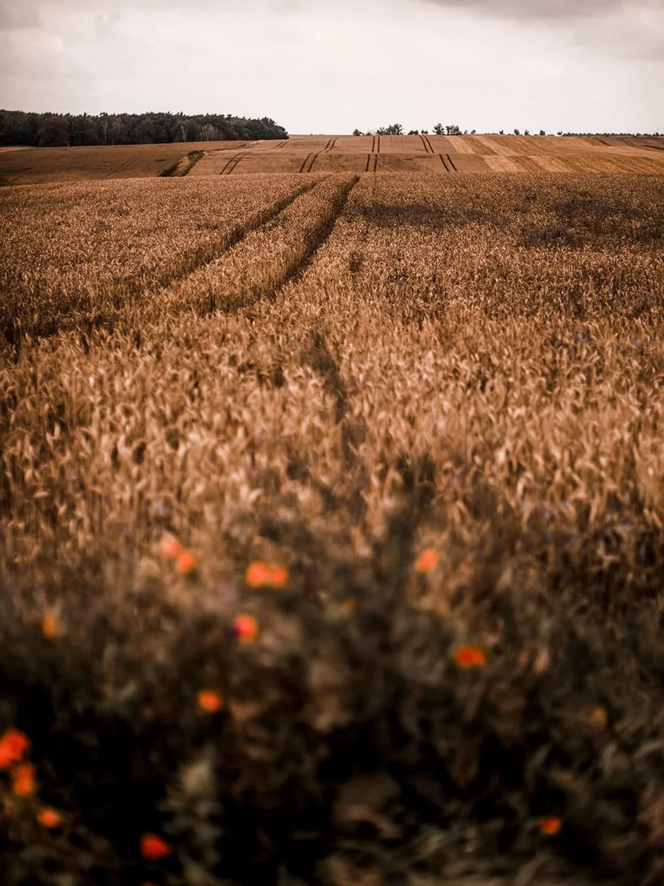 umgebung-salvey-muehle-by-zaza-uckermark-brandenburg-2.jpg