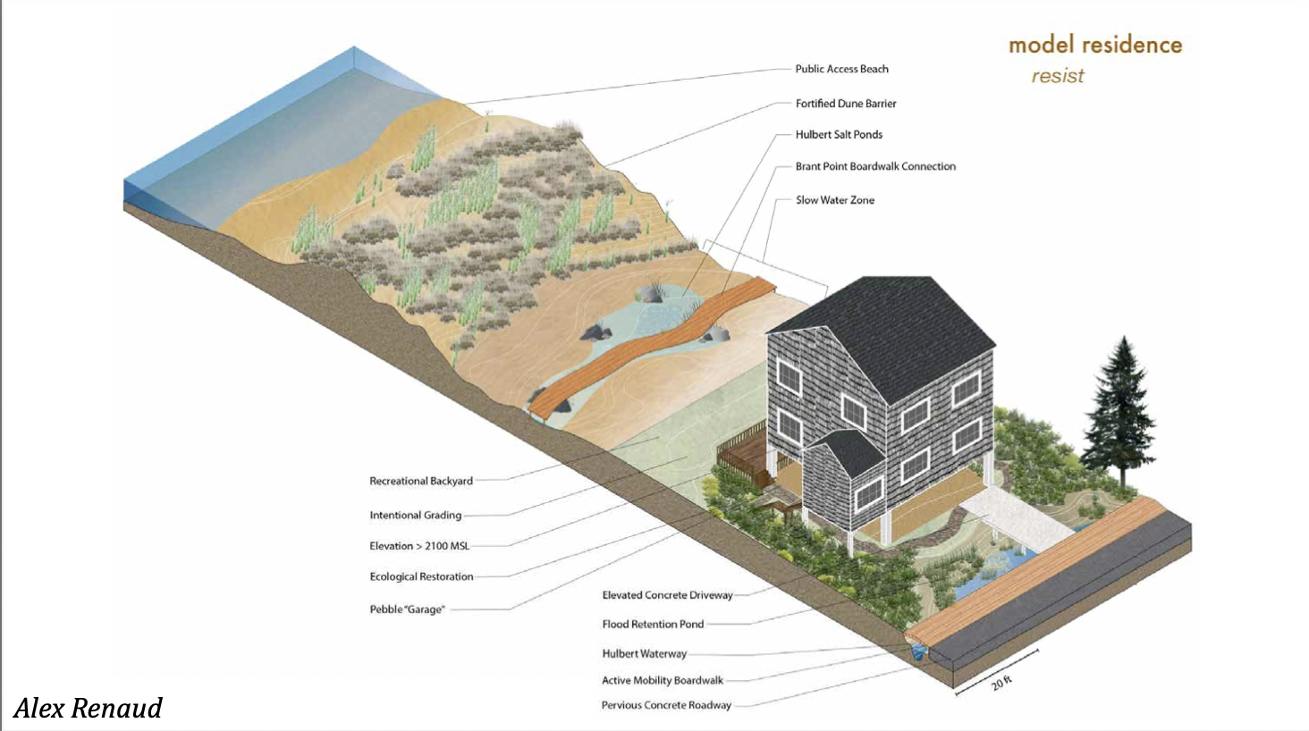 brant point pocket eco.png