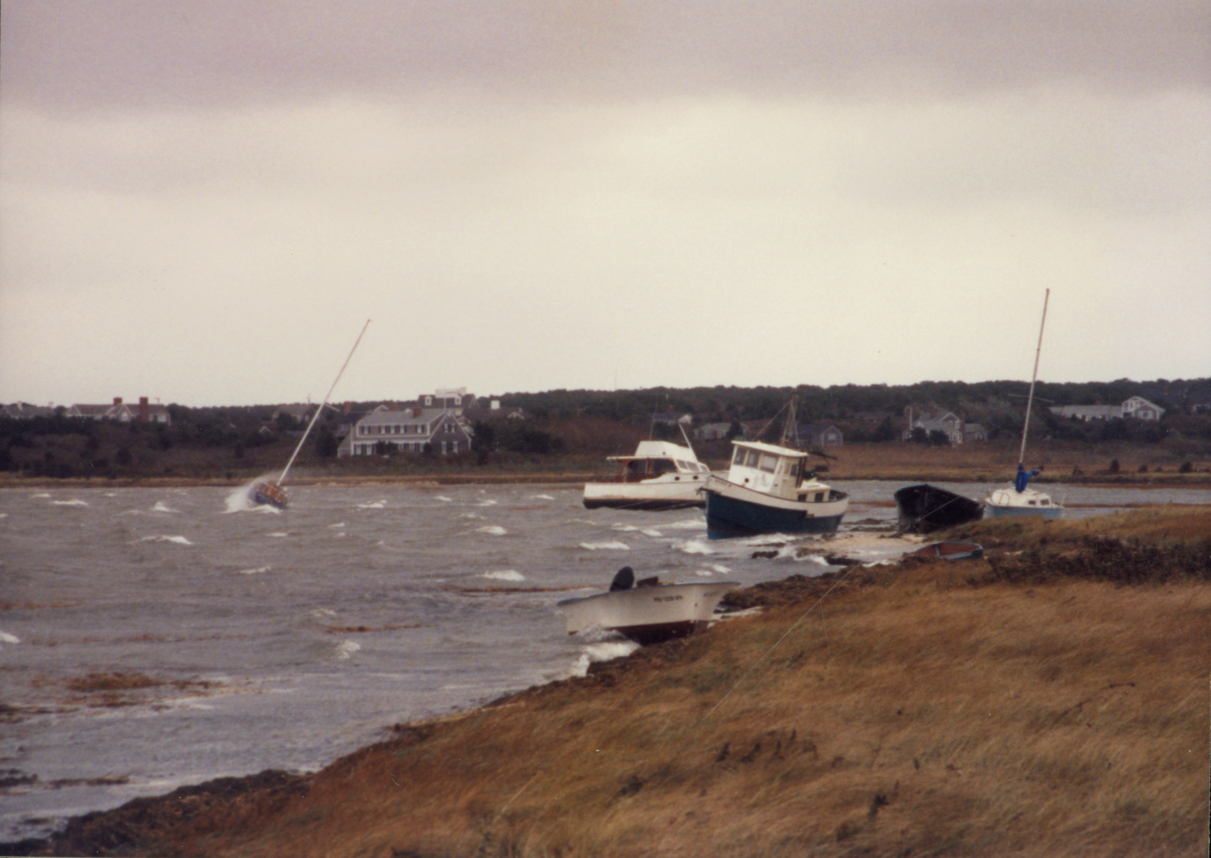 creeks 1991 no name.png