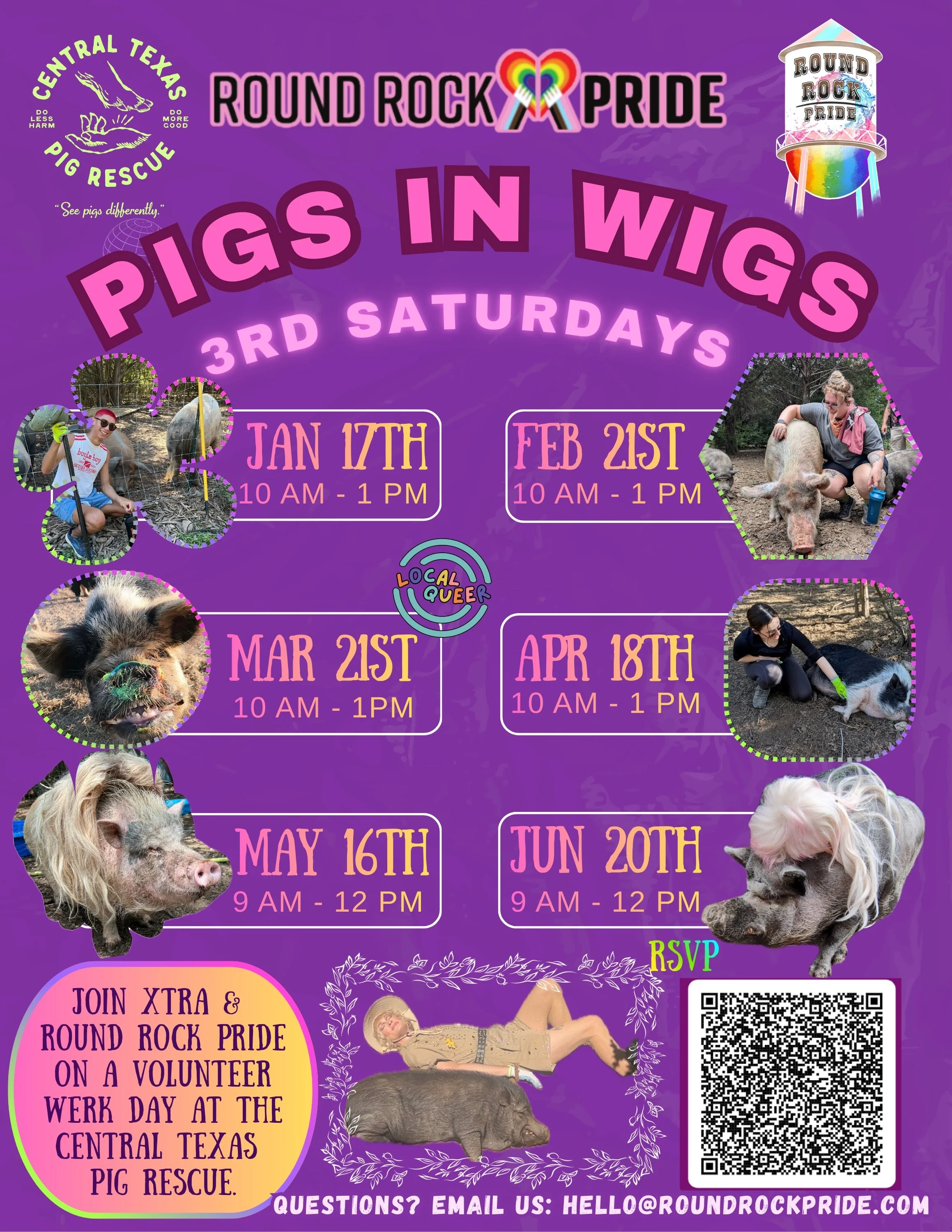 Pigs in Wigs