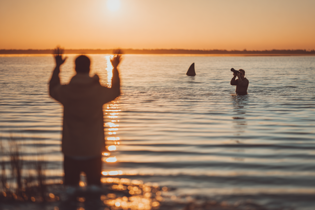 The Voice from the Shore