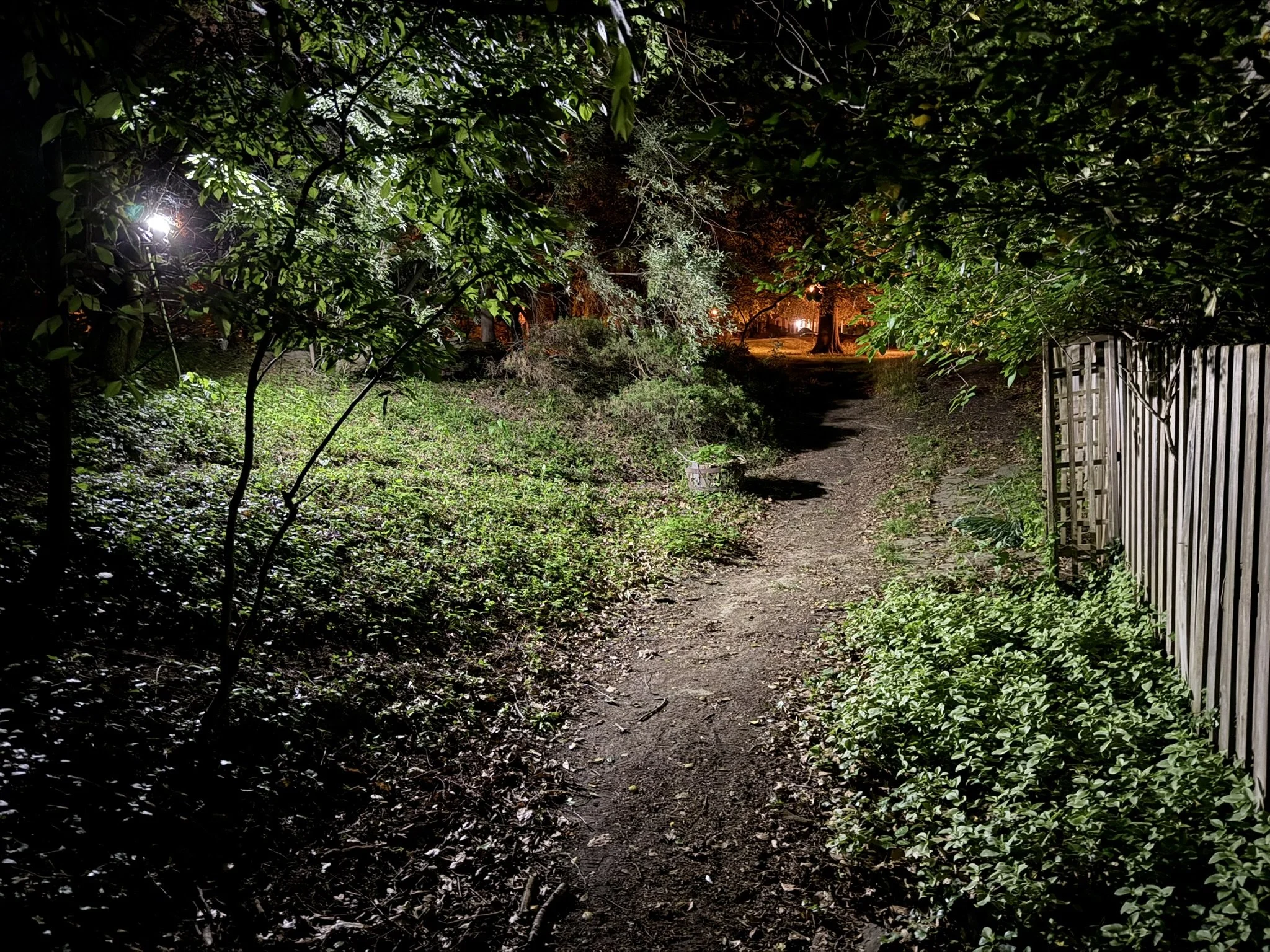 Going into the Dark to Find a Solution