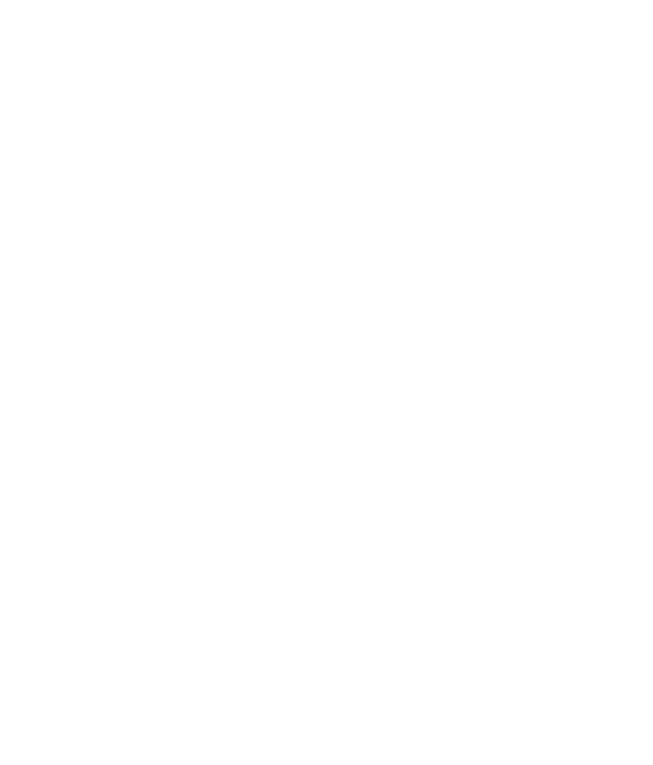 SuperBowlParade.png