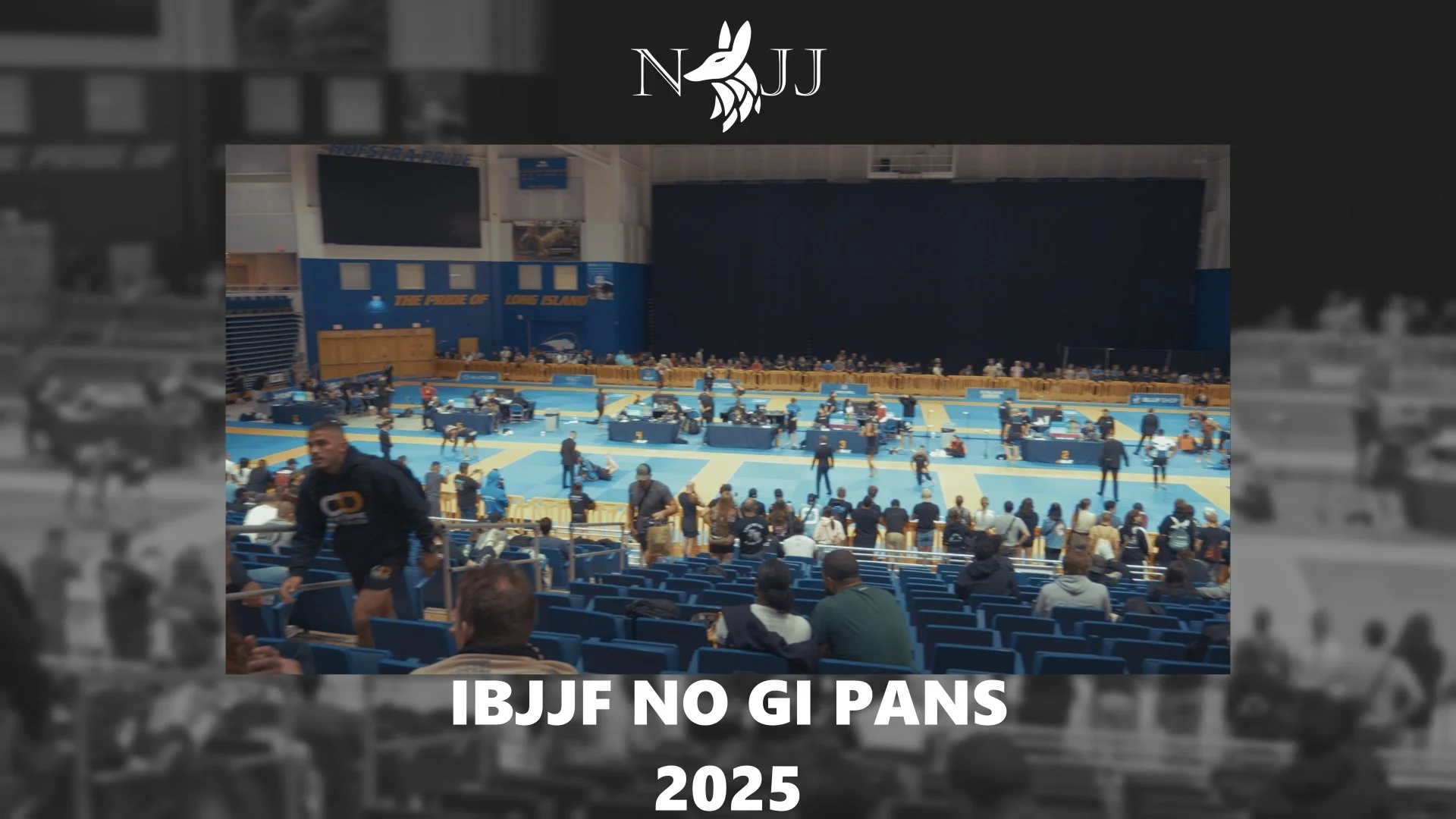 Jiu Jitsu, Fredericksburg, Nexus, American Jiu Jitsu, Grappling, wrestling, Brazilian Jiu Jitsu, BJJ, Fredericksburg, Va, fun, hobbies, self defense, sports, fitness, Martial Arts, kids classes, kids martial arts