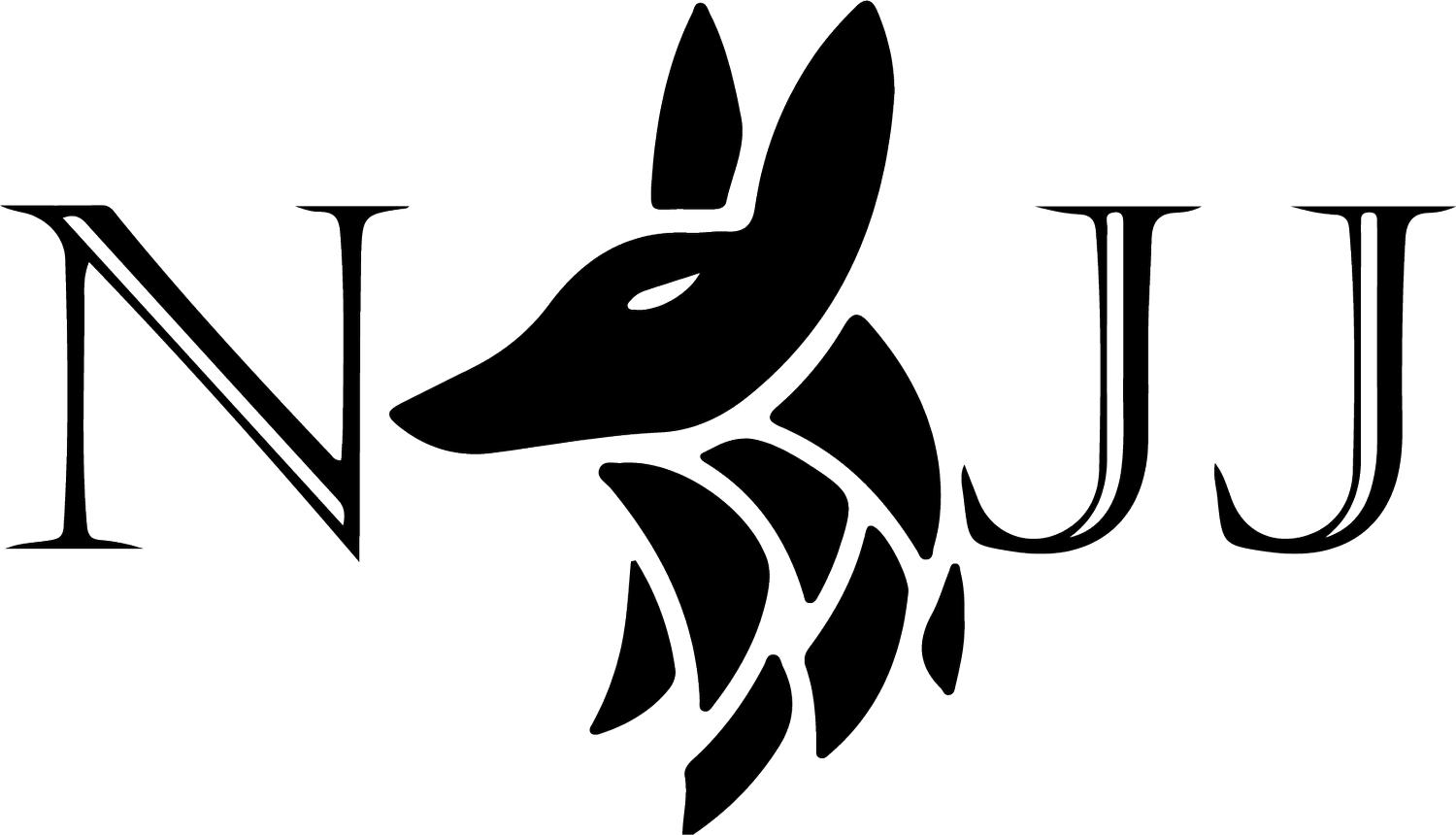 Nexus American Jiu Jitsu