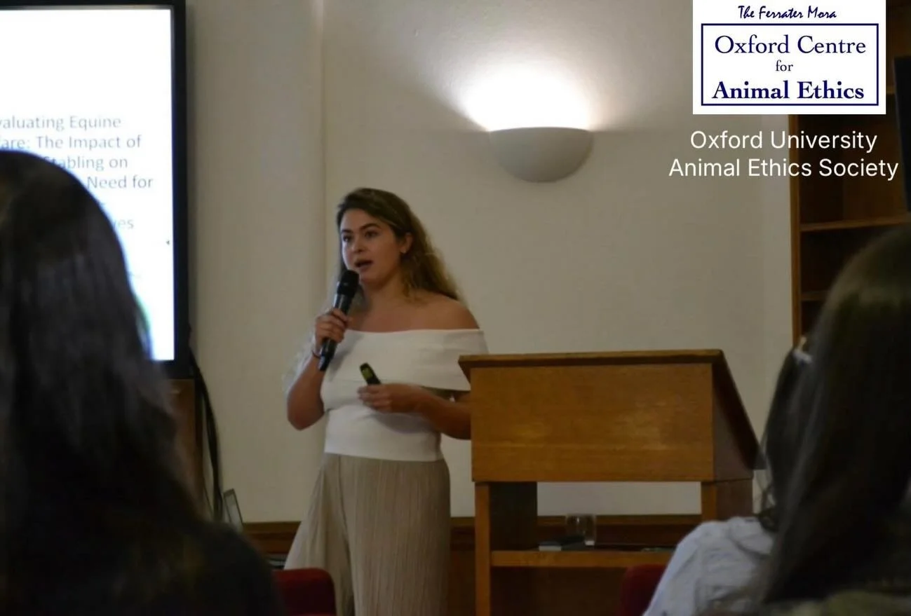 Last summer, I gave a talk at Oxford University for the Oxford Centre for Animal Ethics and my presentation was titled &ldquo;Re-evaluating Equine Welfare: The Effects of Prolonged Stabling and the Need for Welfare-Centred Alternatives&rdquo;. The th