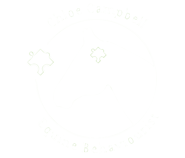 Chloe Campbell Equine Behaviourist